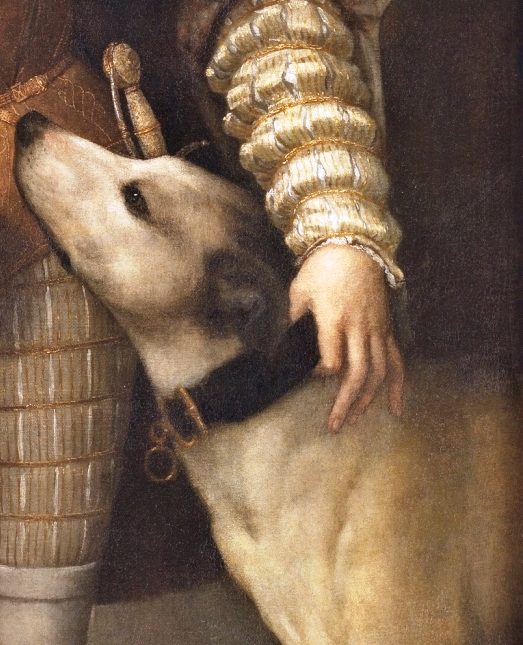 A hound looks up at its master, whose hand rests on its neck